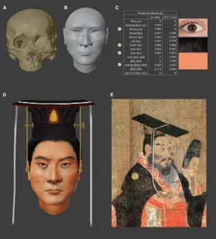 复原北周武帝面貌，讲述基因组中故事正文图片